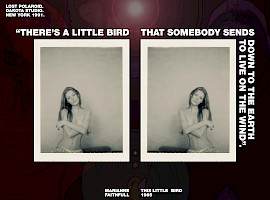 The Legend - Kate Moss by Michel Haddi