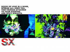 The Legend - Flore De Mal by Michel Haddi