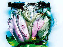 The Legend - Flore De Mal by Michel Haddi