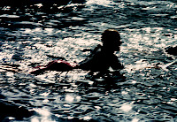 Signed Book with Gilt-Edge Image 5