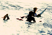 Signed Book with Gilt-Edge with Double Sided Poster Image 9