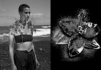 Signed Book with Gilt-Edge with Double Sided Poster Image 35