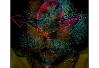 Signed Book in Painted Plexiglass Box with Large Print Image 21