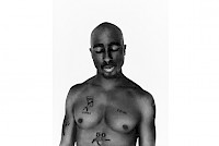 Limited Edition Prints